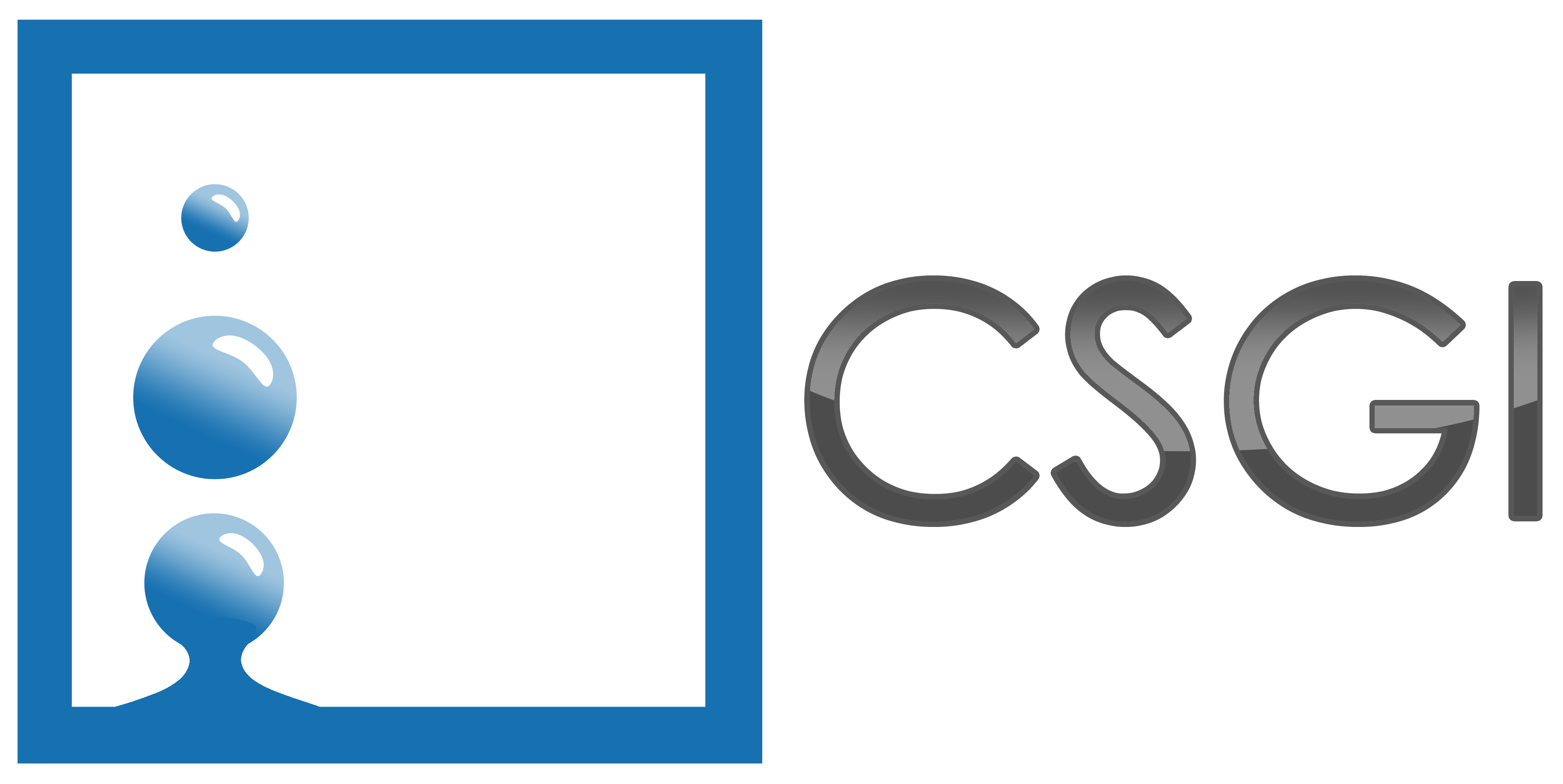 Logo CSGI